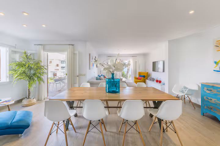Swimming pool surrounded by olive trees